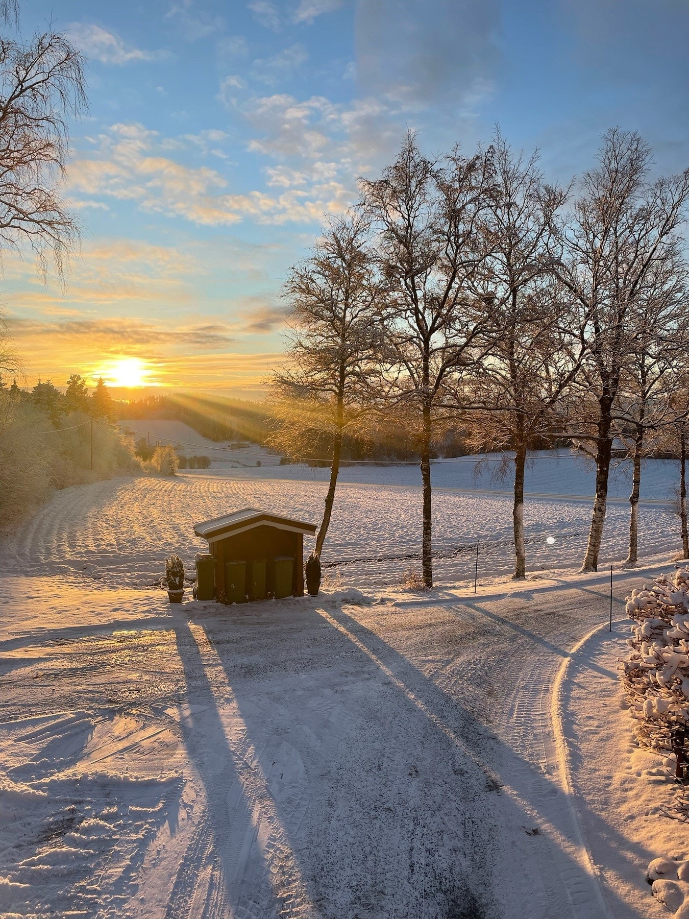 Privat bilde. Galleribilde