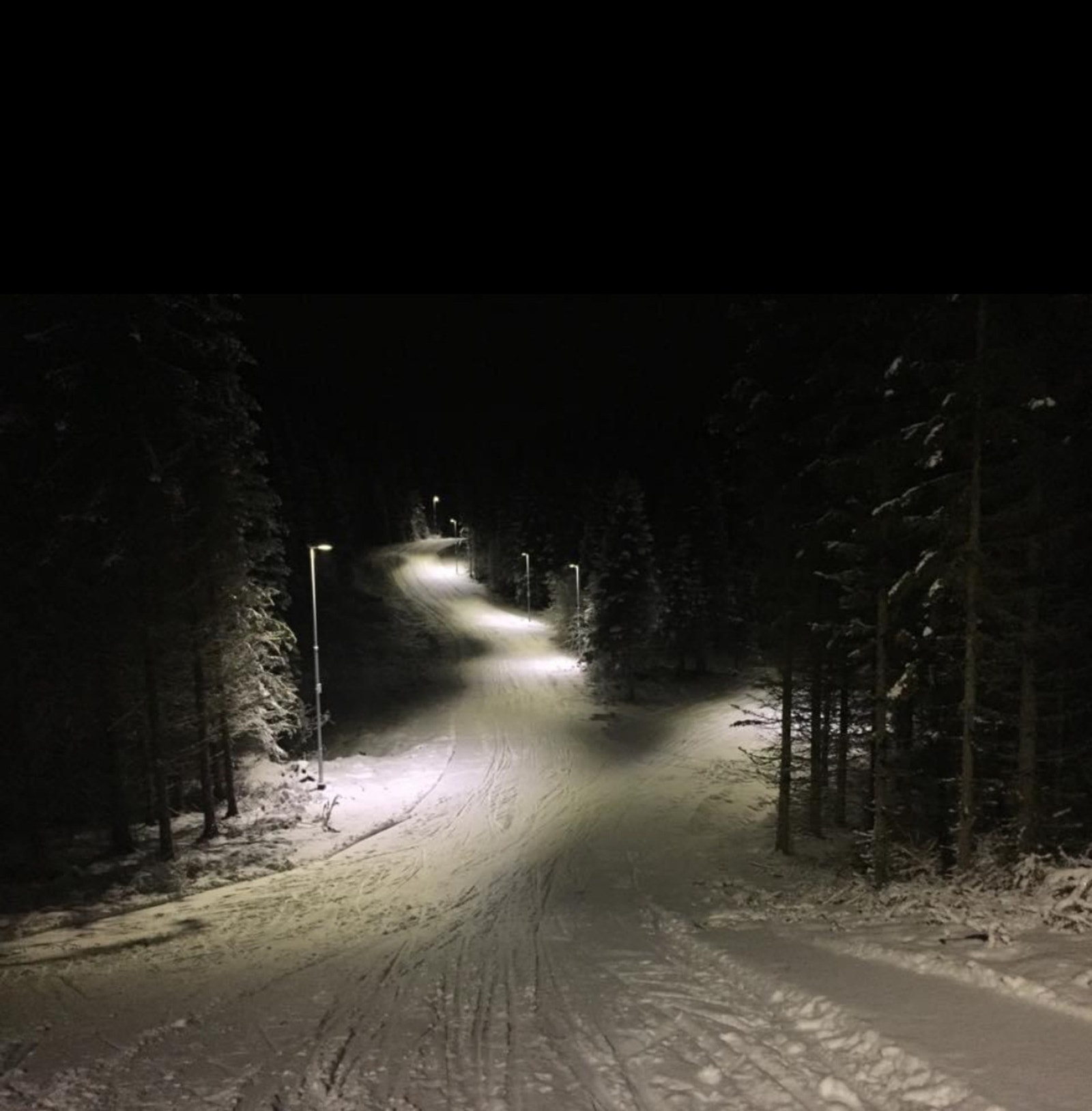 Privat bilde. Galleribilde