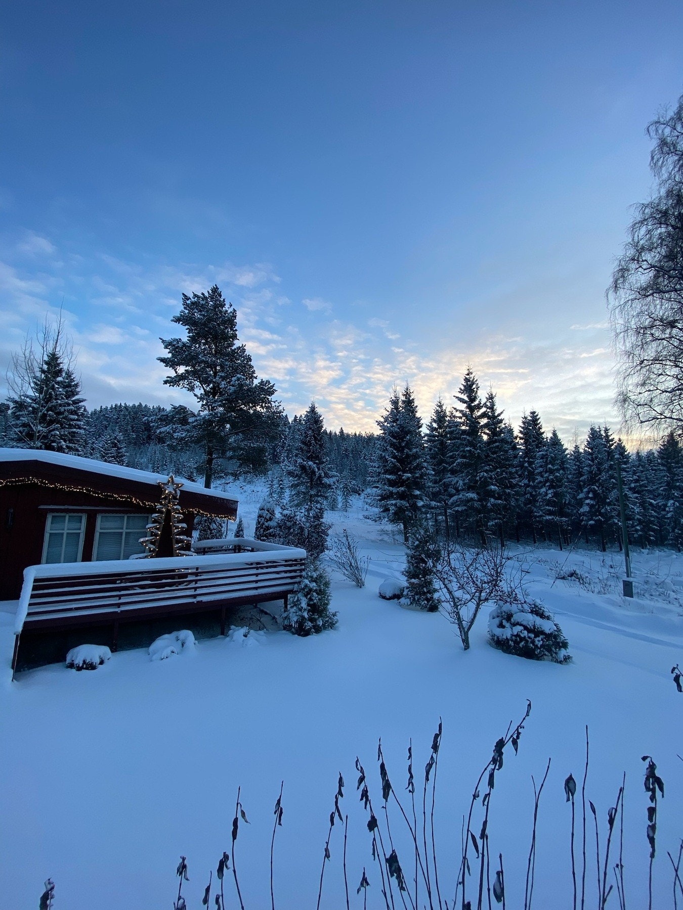 Privat bilde. Galleribilde