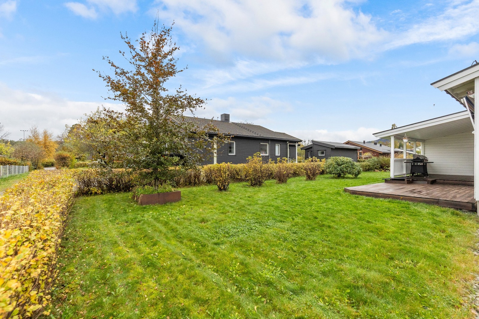 Pent opparbeidet og frodig hage. Galleribilde