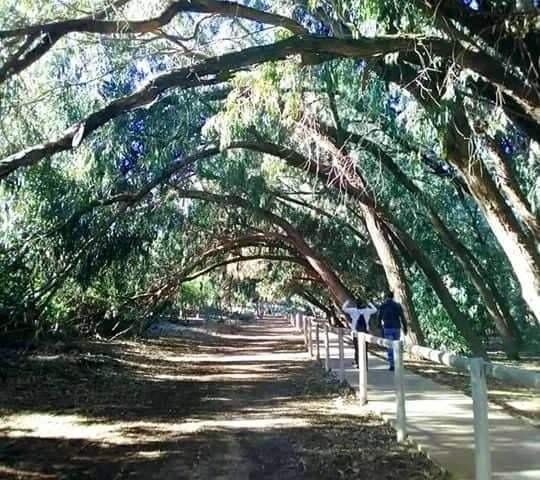 Image 9 Galleribilde