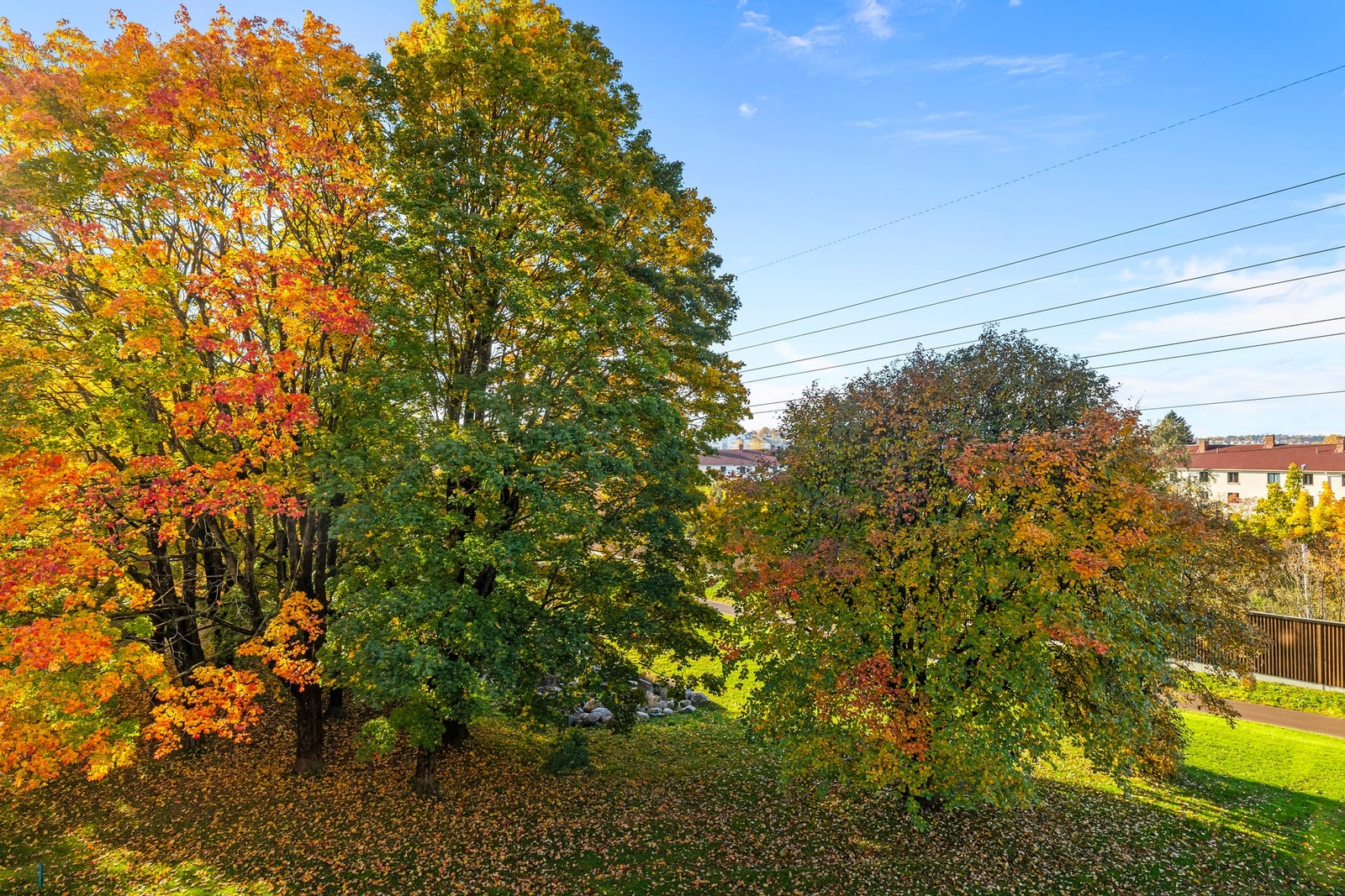 Flott utsyn fra balkongen. Galleribilde