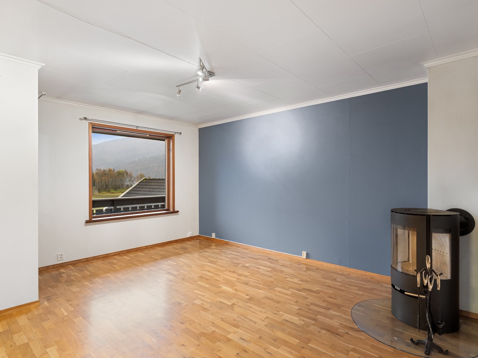 Parkett på gulv og malte vegger. Vedovn med glassdør. Galleribilde