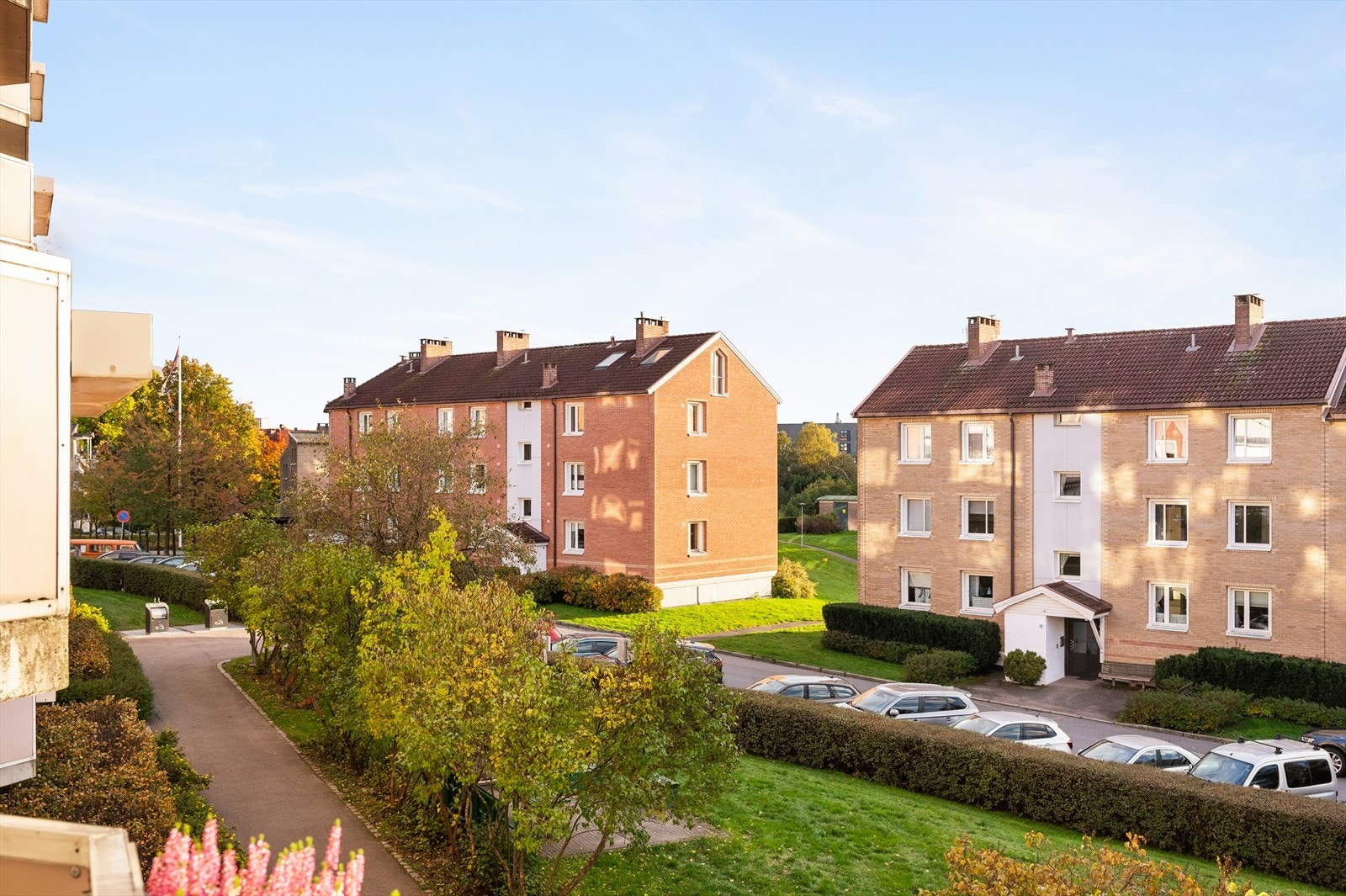 Hyggelig og frodig utsikt fra balkongen og leiligheten. Galleribilde