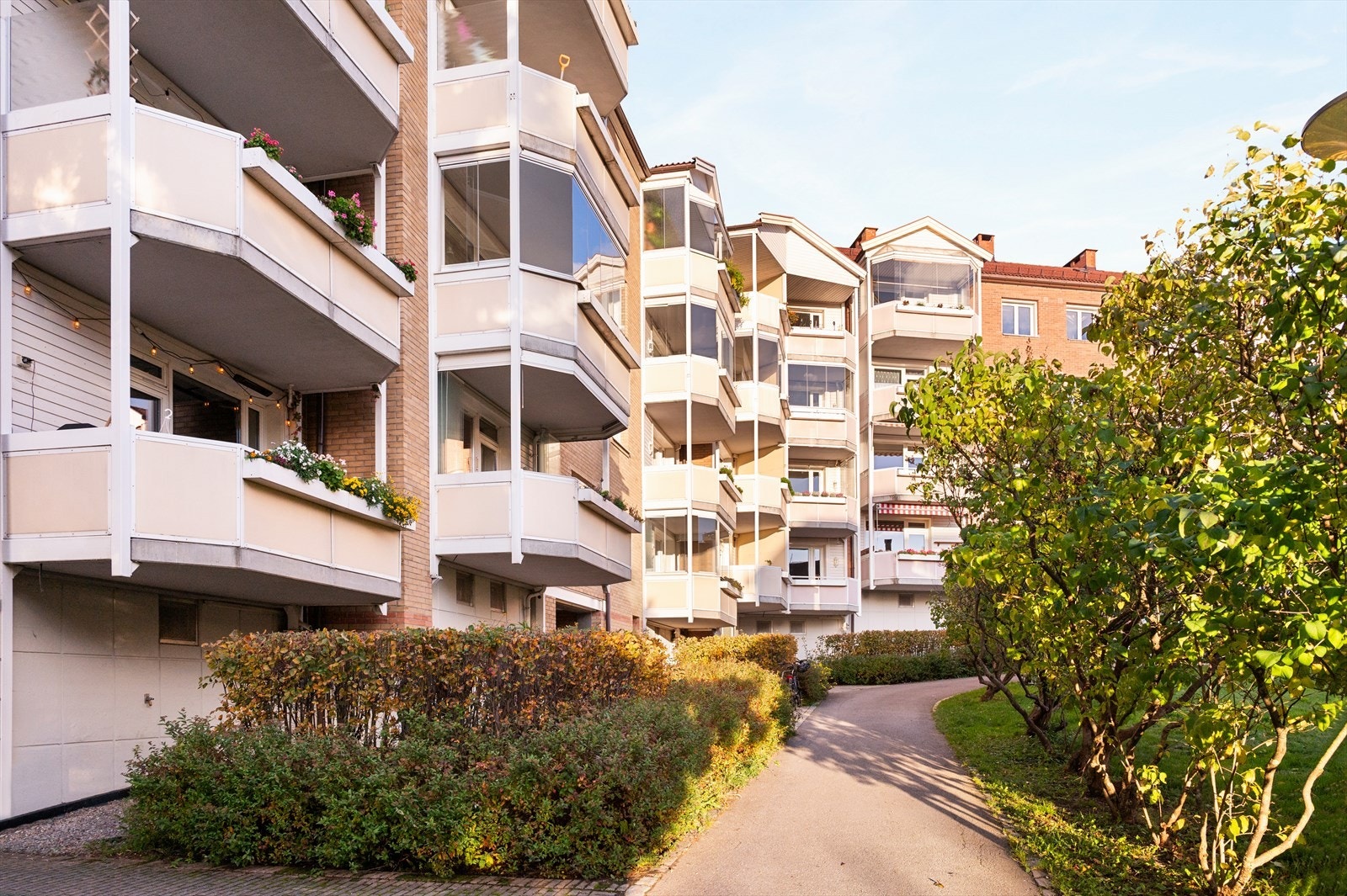 Hyggelig gangvei med beplantning rundt. Galleribilde