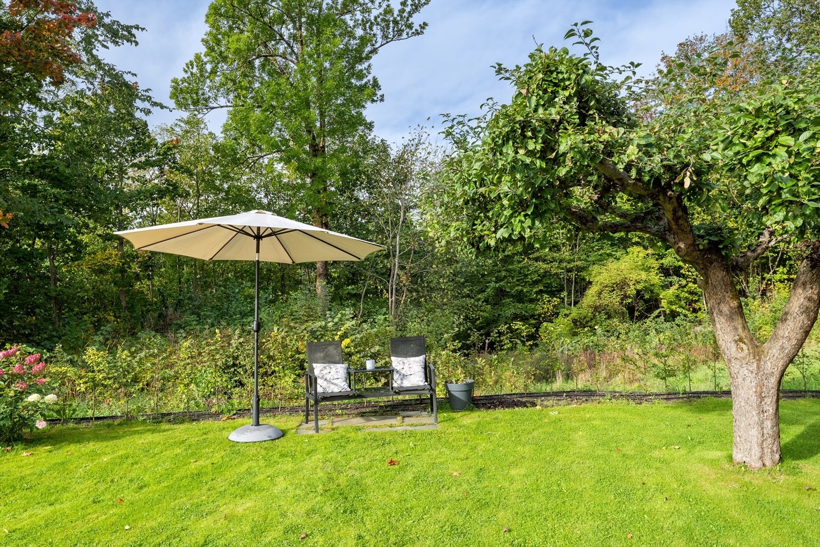 Her kan du sitte usjenert til, i en rolig atmosfære. Galleribilde