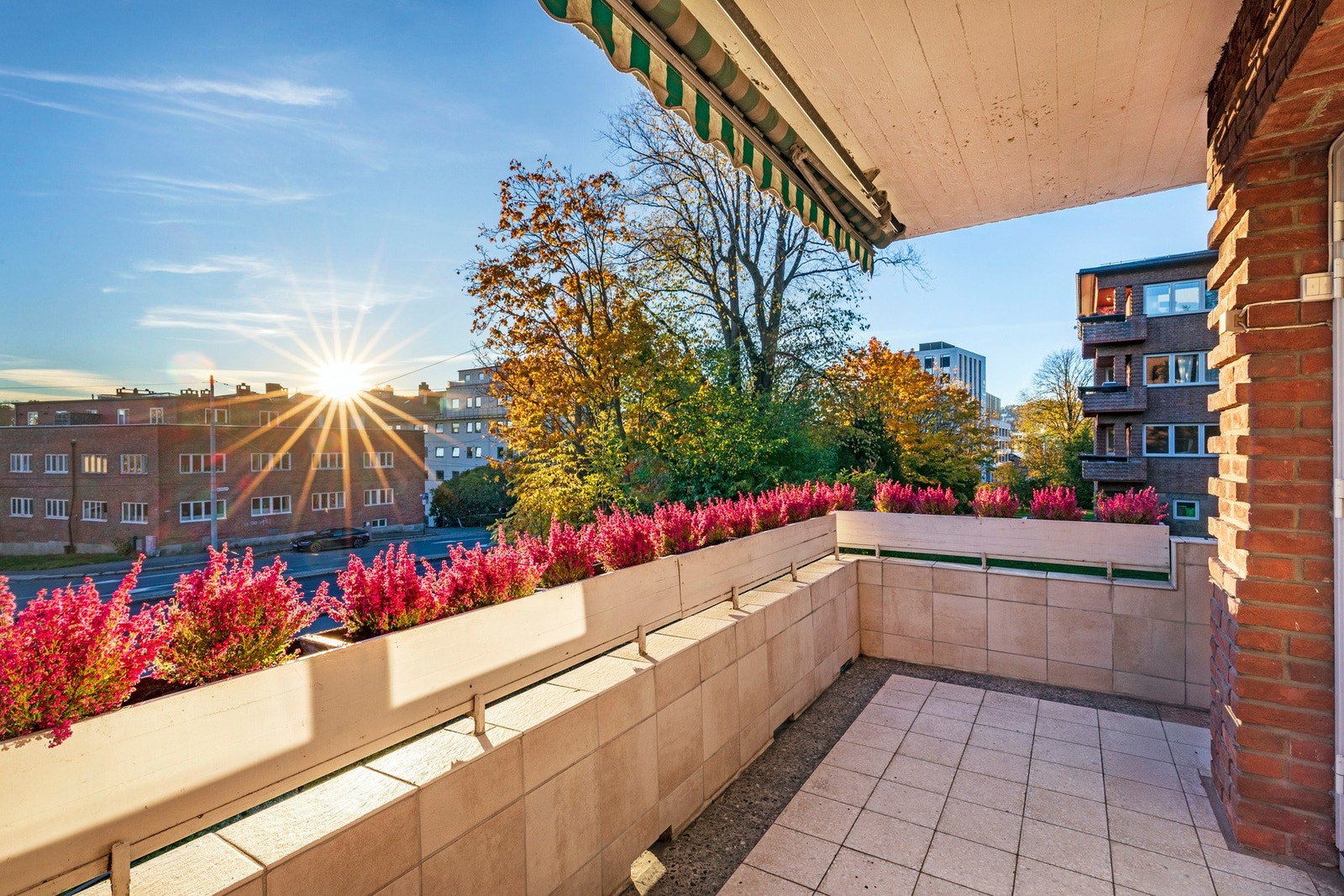 Solrik balkong med utgang fra stue. Galleribilde