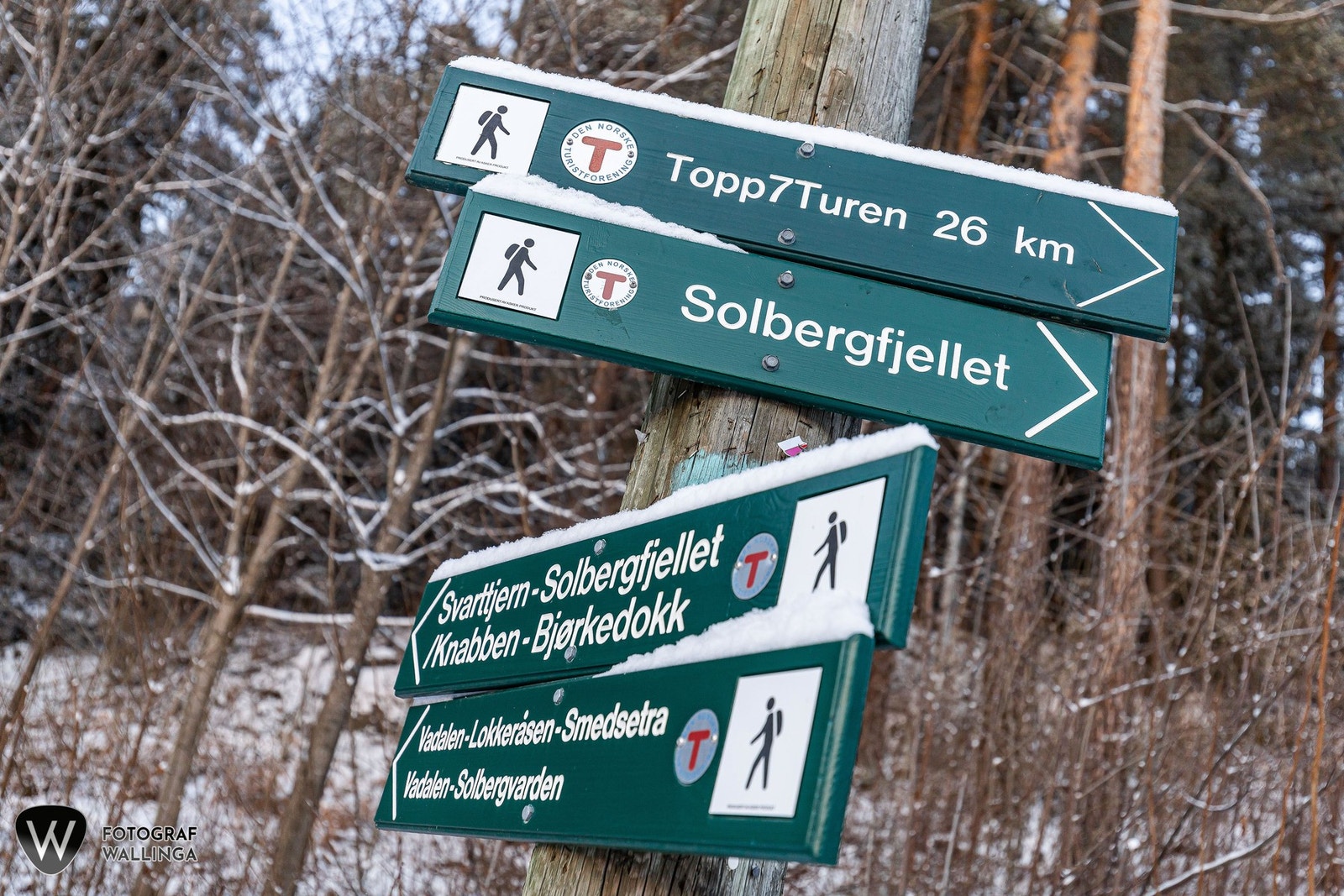 Det er lysløype i området, og et stort nettverk av merkede turstier. En tur opp Solbergfjellet kan anbefales Galleribilde