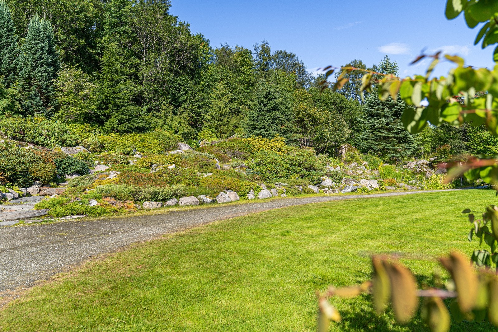 Den botaniske hage Galleribilde