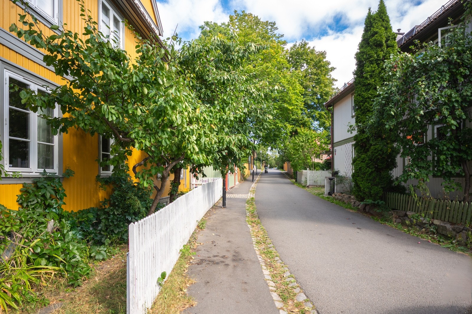 Boligen ligger tett på, og har utsyn over, vakker trehusbebyggelse - et idyllisk område midt i byen! Galleribilde