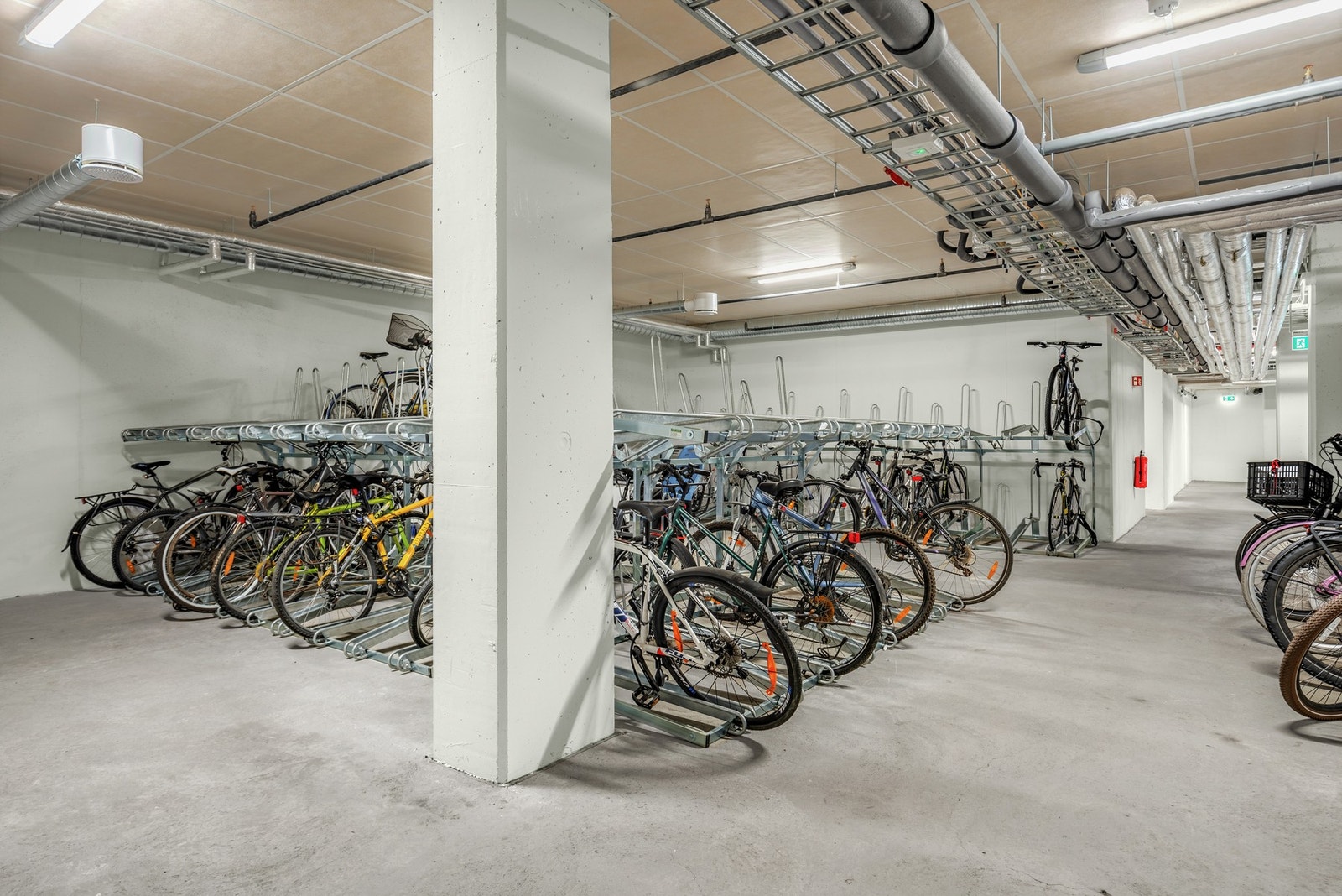 Sykkelbod i garasjen, samt vaske- og servicerom for sykler Galleribilde