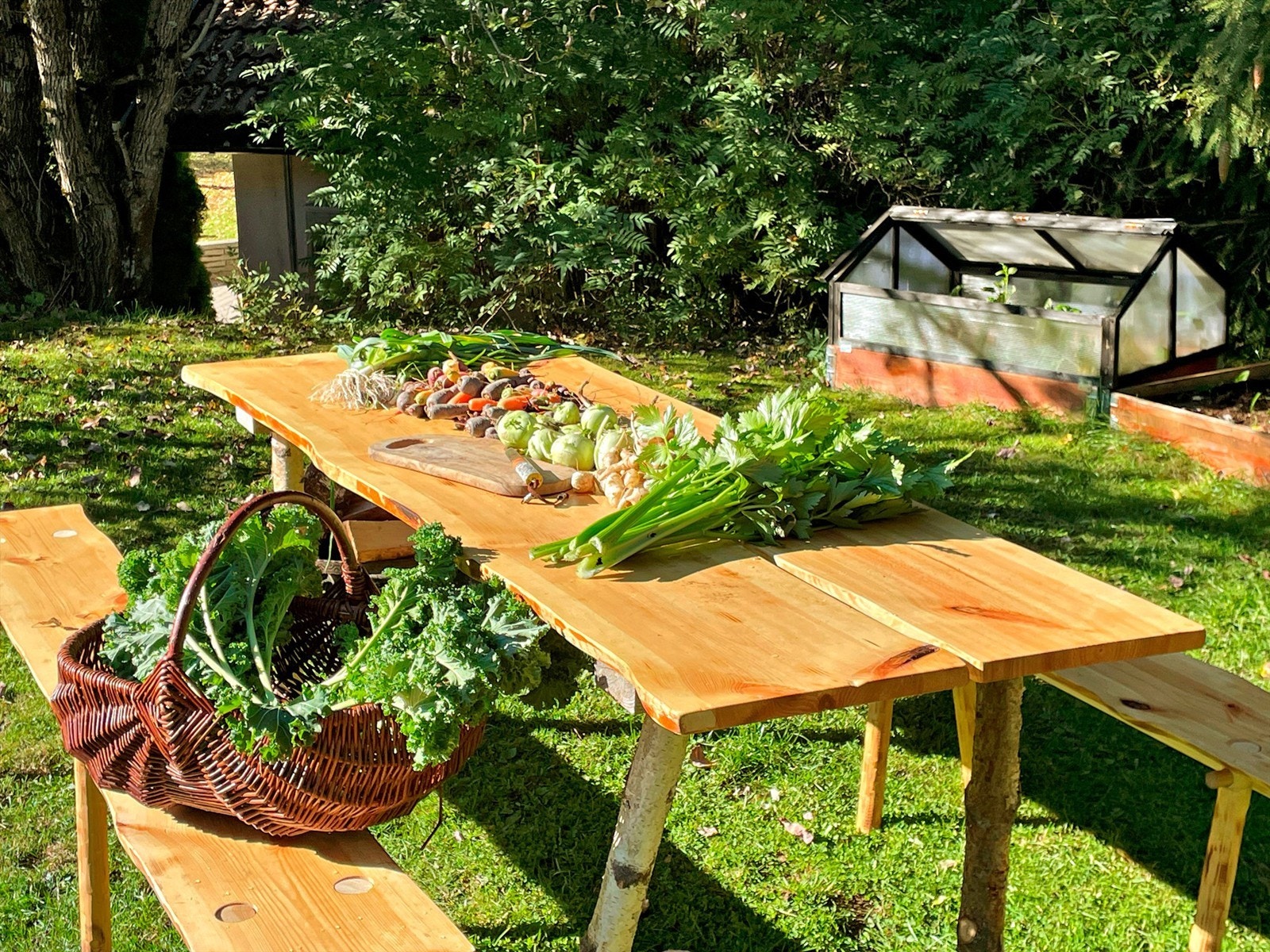 Her kan man dyrke egne økologiske grønnsaker Galleribilde