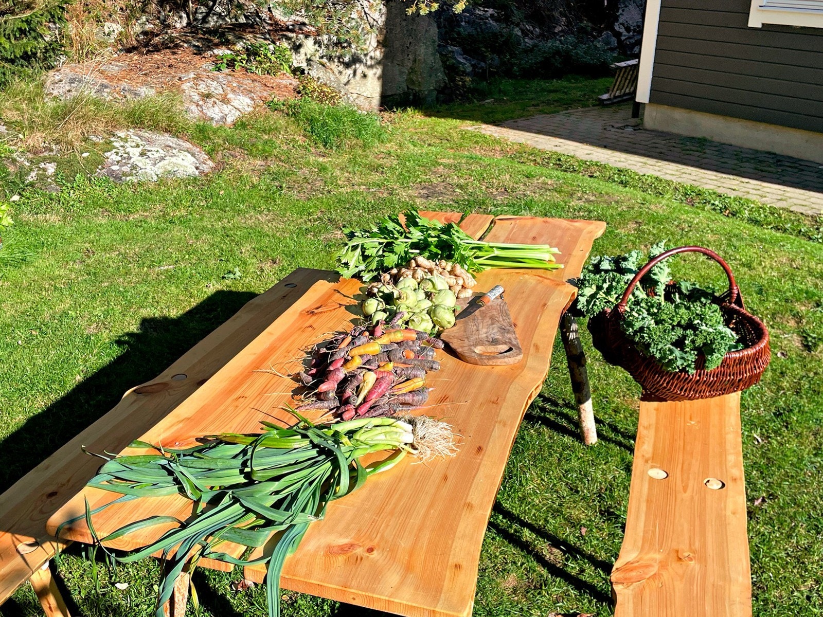 Flotte økologiske grønnsaker fra egen hage Galleribilde