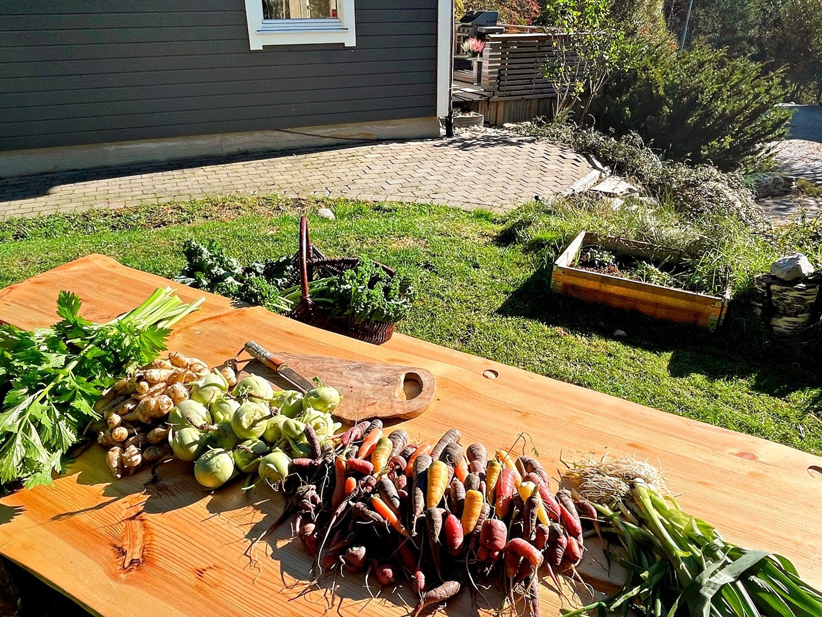 Fantastiske grønnsaker fra egen hage Galleribilde