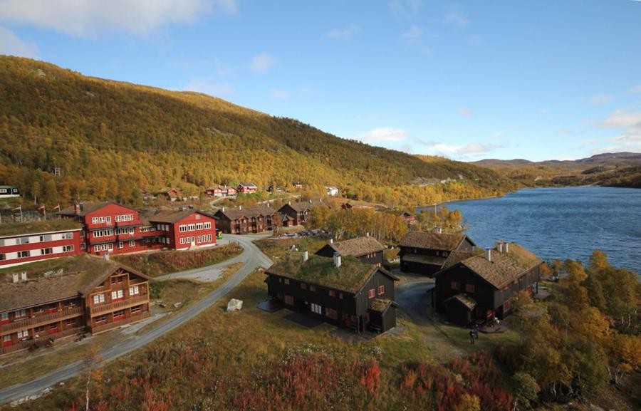 Idylliske sommerbilder av selger Galleribilde
