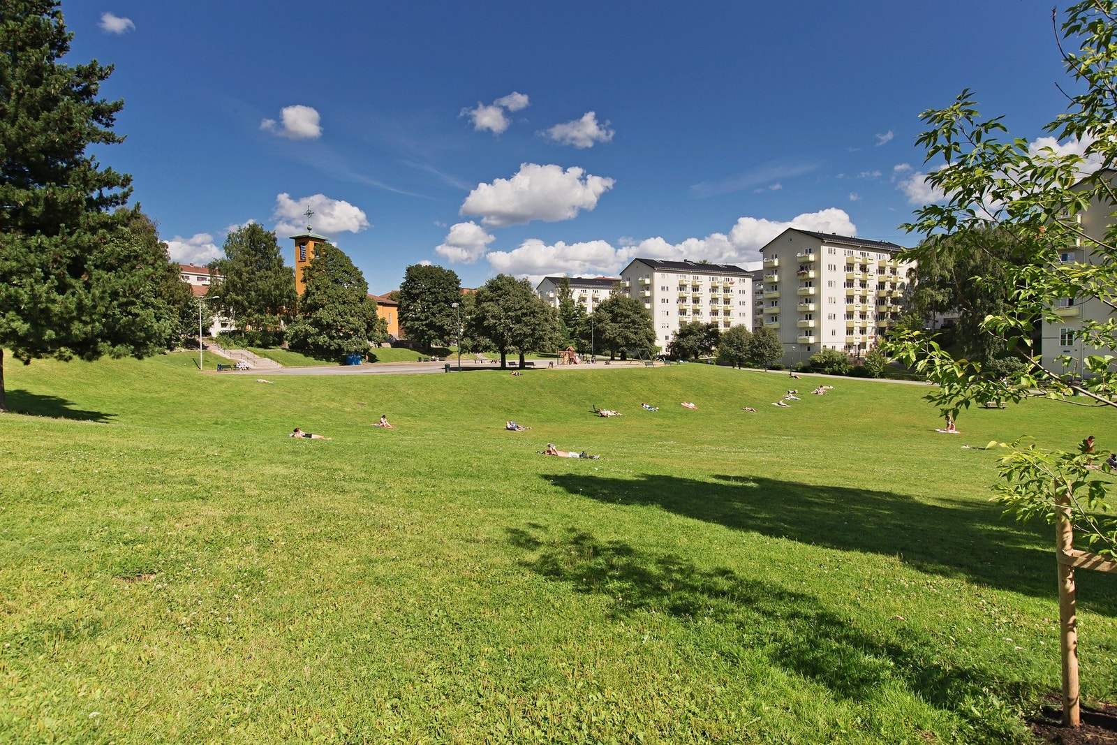 Iladalen er nærmeste parkområde som er perfekt for solfylte sommerdager. Galleribilde