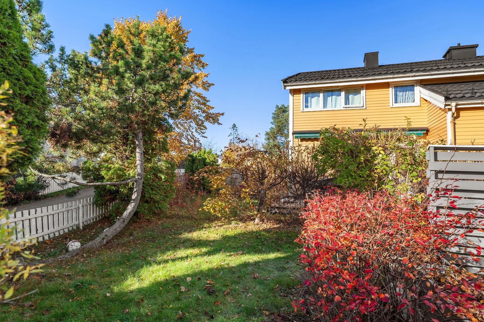 Koselig og skjermet hage i et meget hyggelig nabolag! Galleribilde