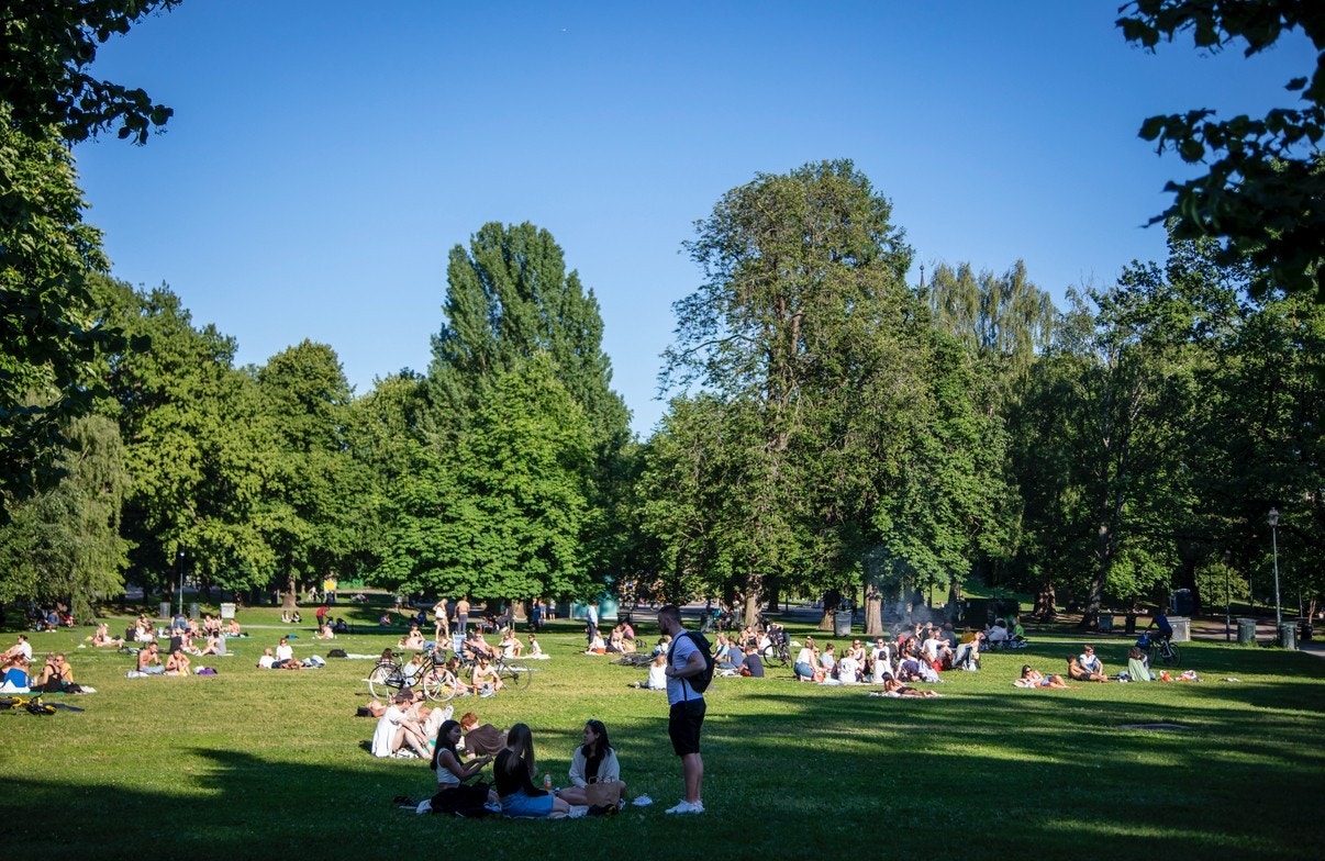 - Hyggelige parker i nærområdet - Galleribilde