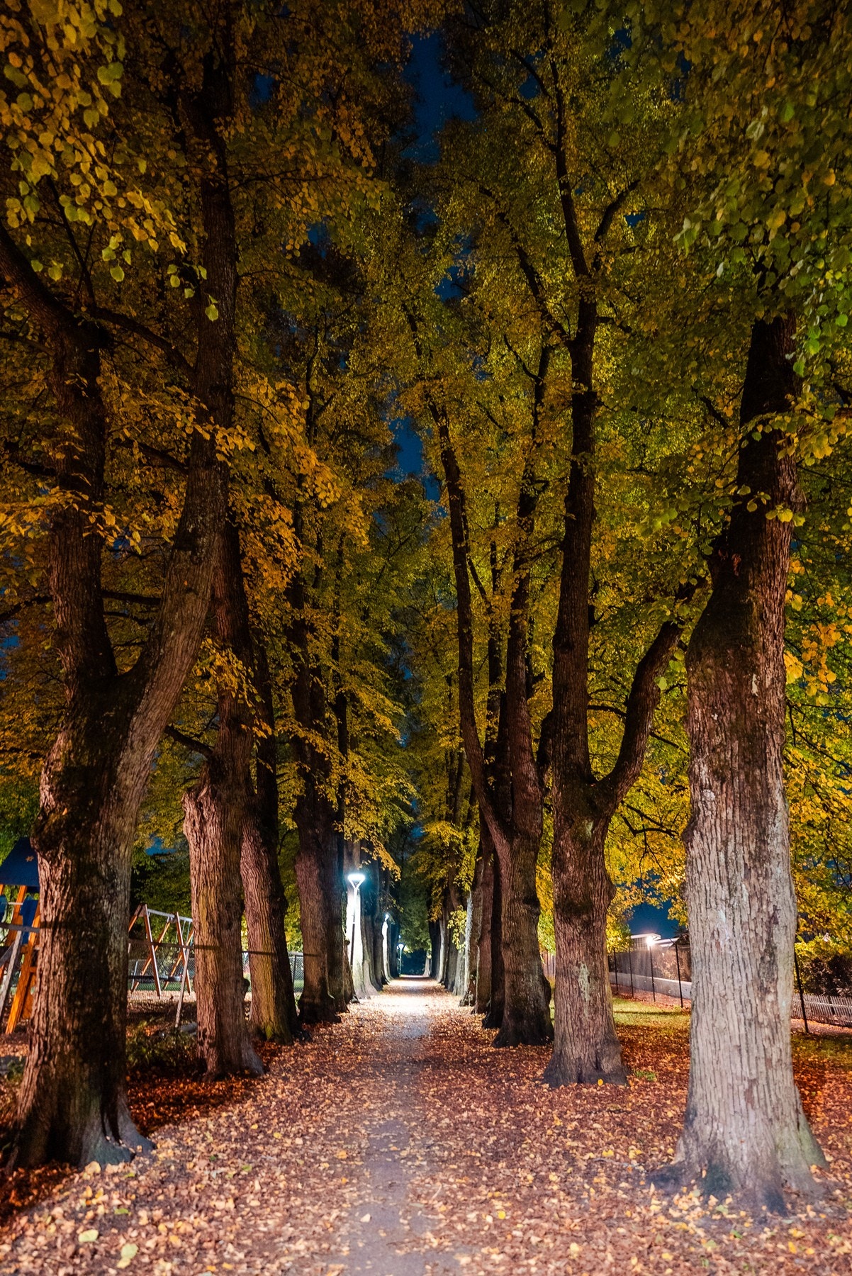Bjølsenparken Galleribilde