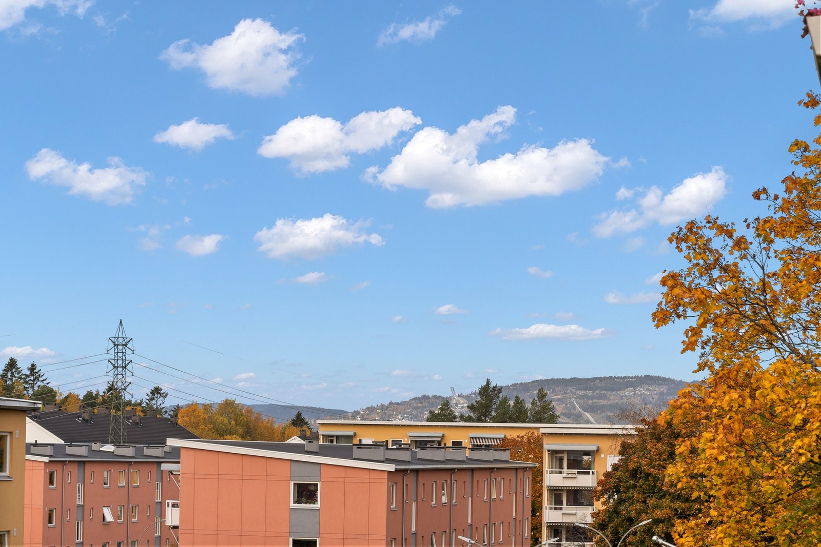 Fine utsynsforhold. Galleribilde