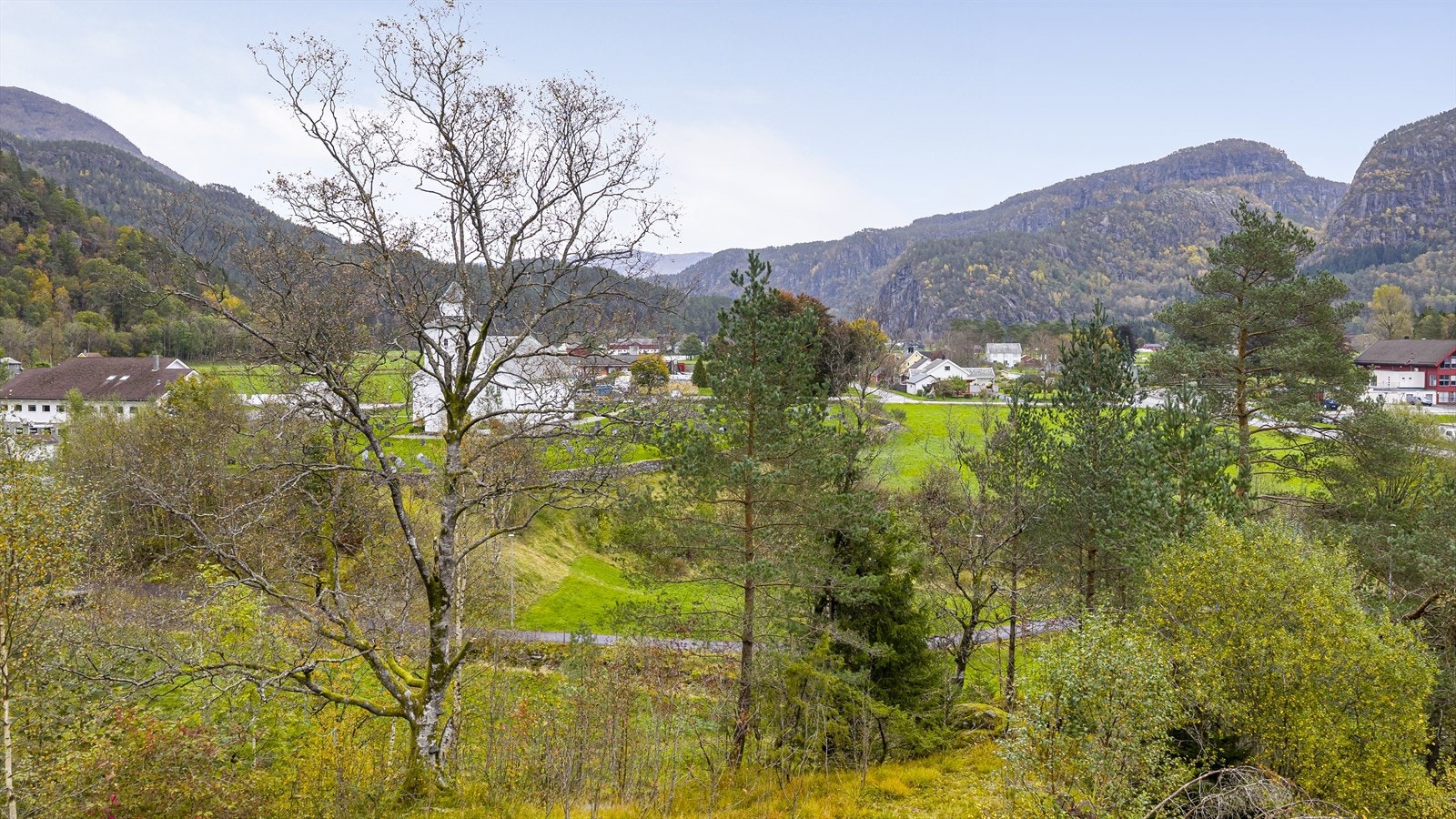 Utsikt. Galleribilde