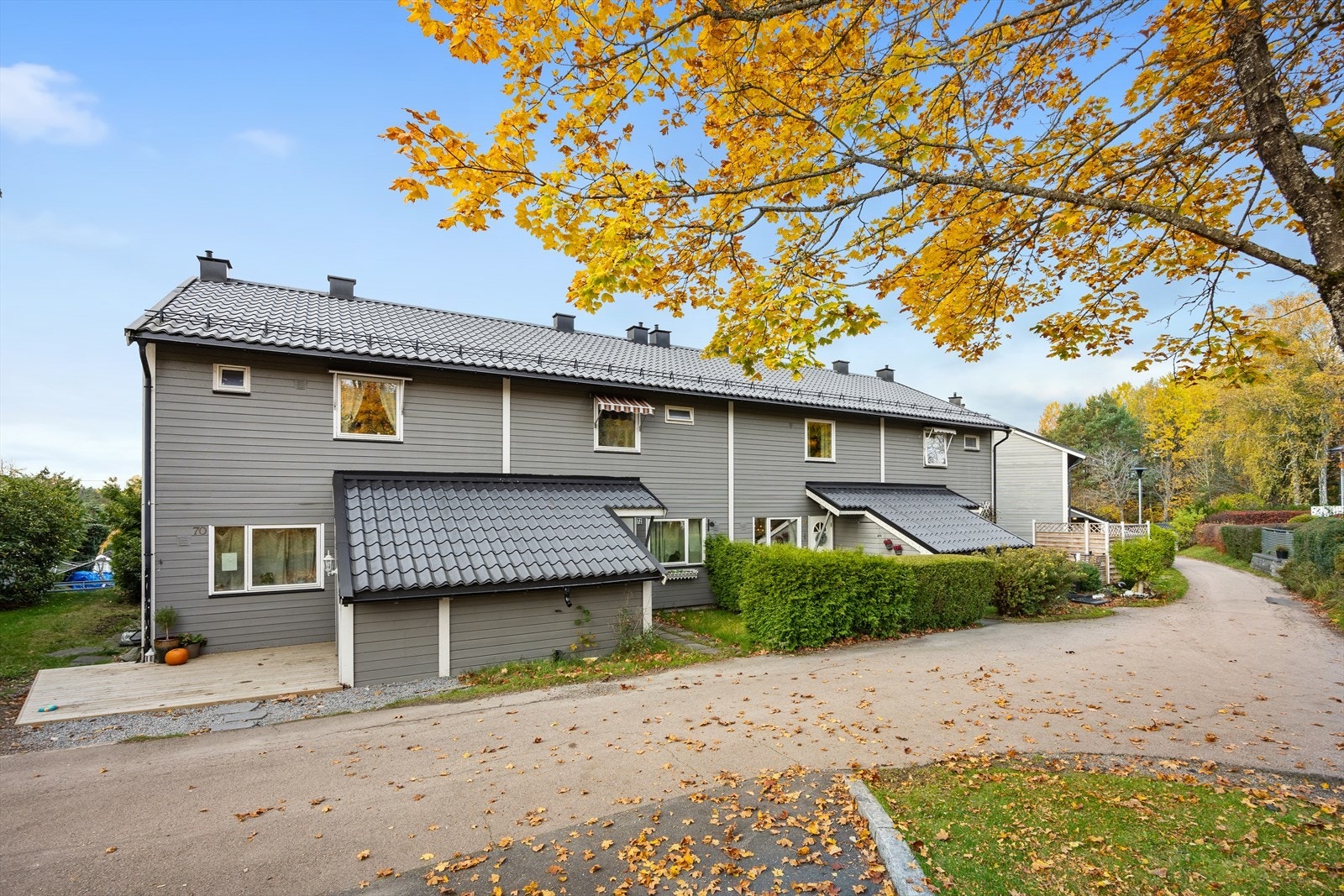 Velkommen til hyggelig visning! Galleribilde