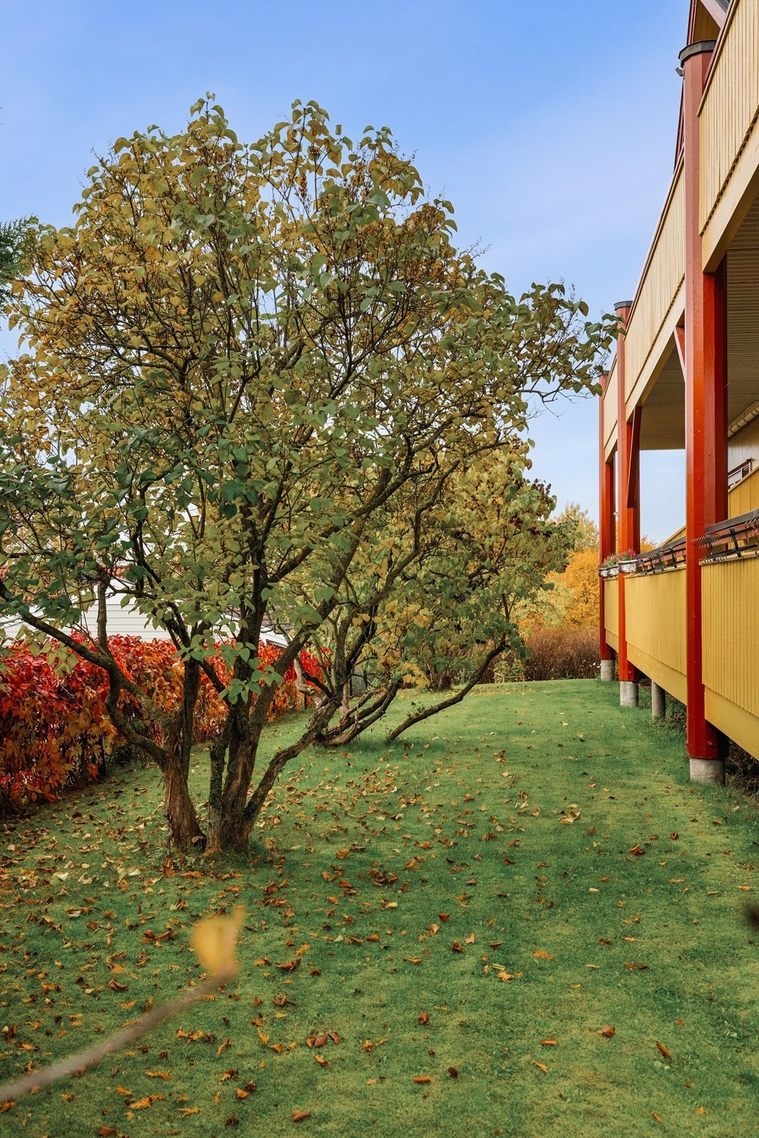 Sameiet har en pent opparbediet tomt med hage med diverse beplantning. Galleribilde