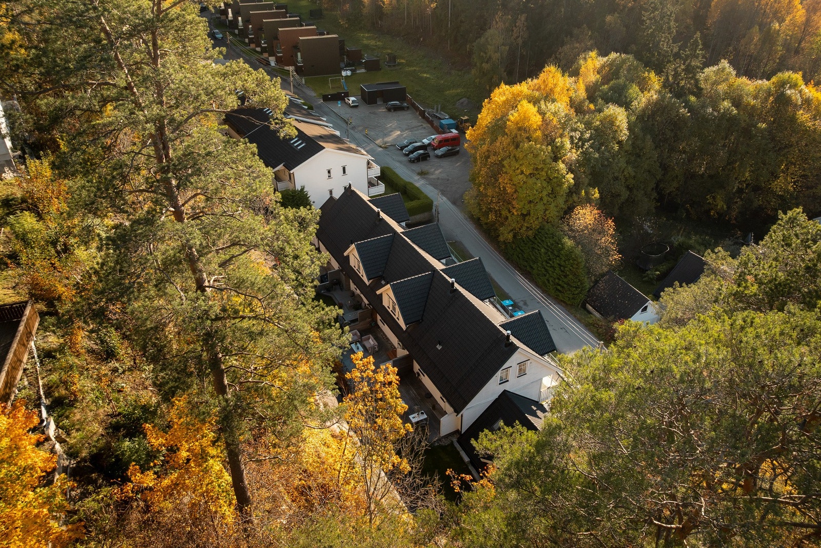 Tilbaketrukket i grønne omgivelser. Galleribilde