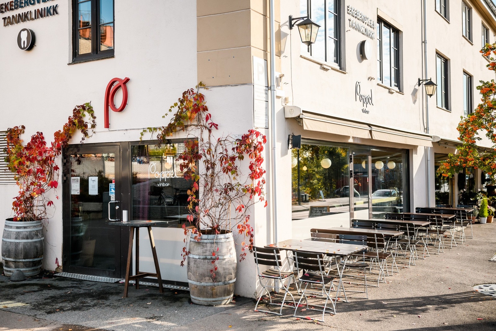 Poppel Vinbar har fort blitt et yndet sted. Galleribilde