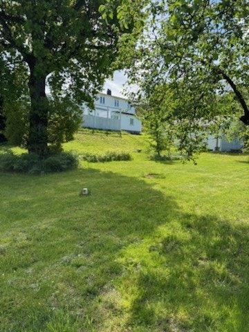 Selgers egne bilder Galleribilde