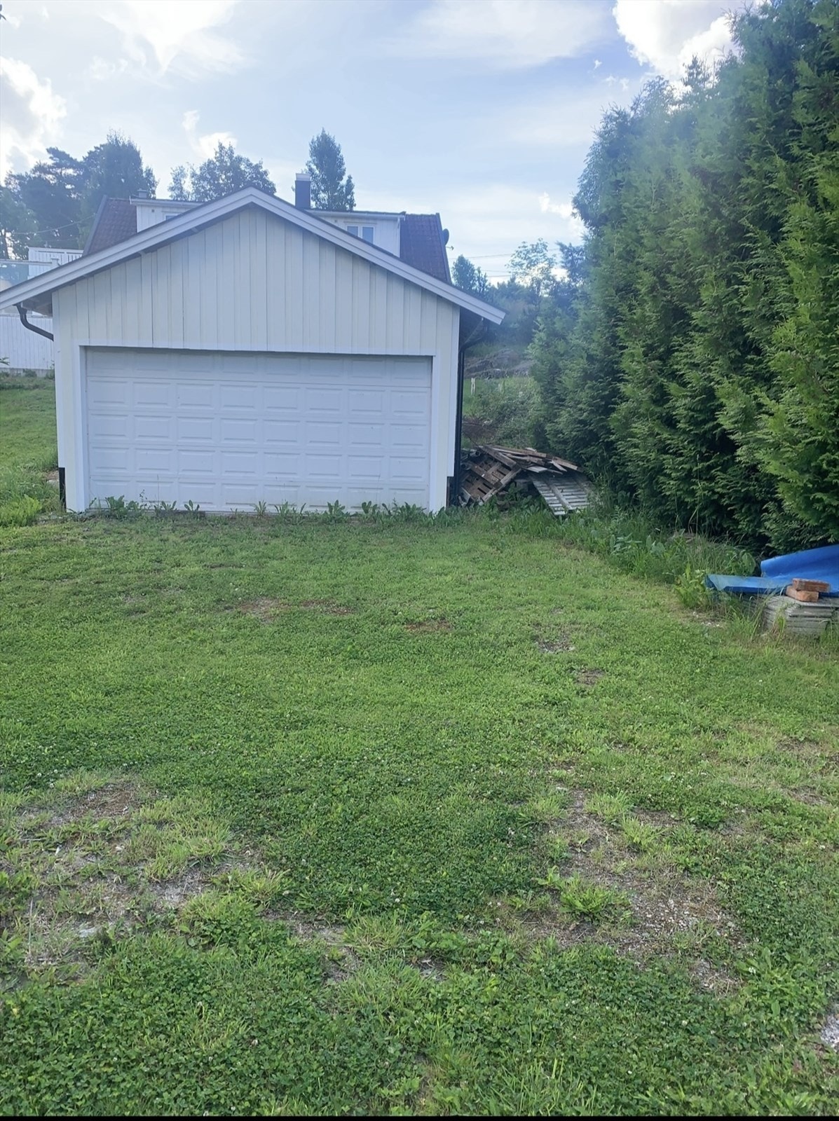 Selgers egne bilder Galleribilde