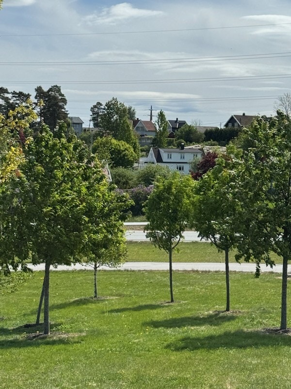 Selgers egne bilder Galleribilde