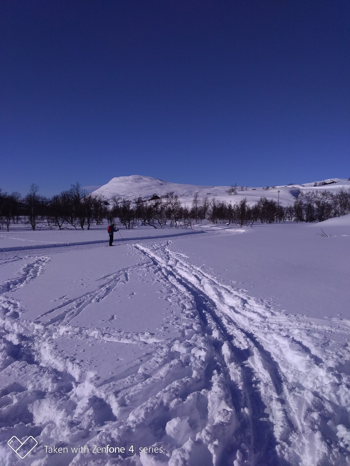 - Bilde fra selger - Galleribilde