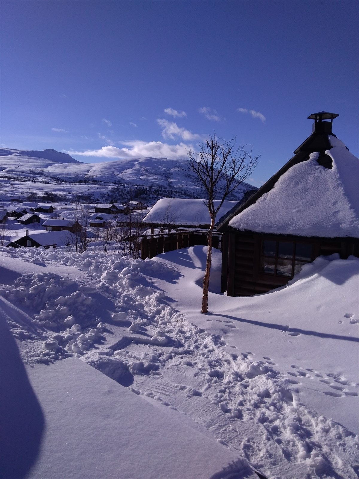 - Bilde fra selger - Galleribilde