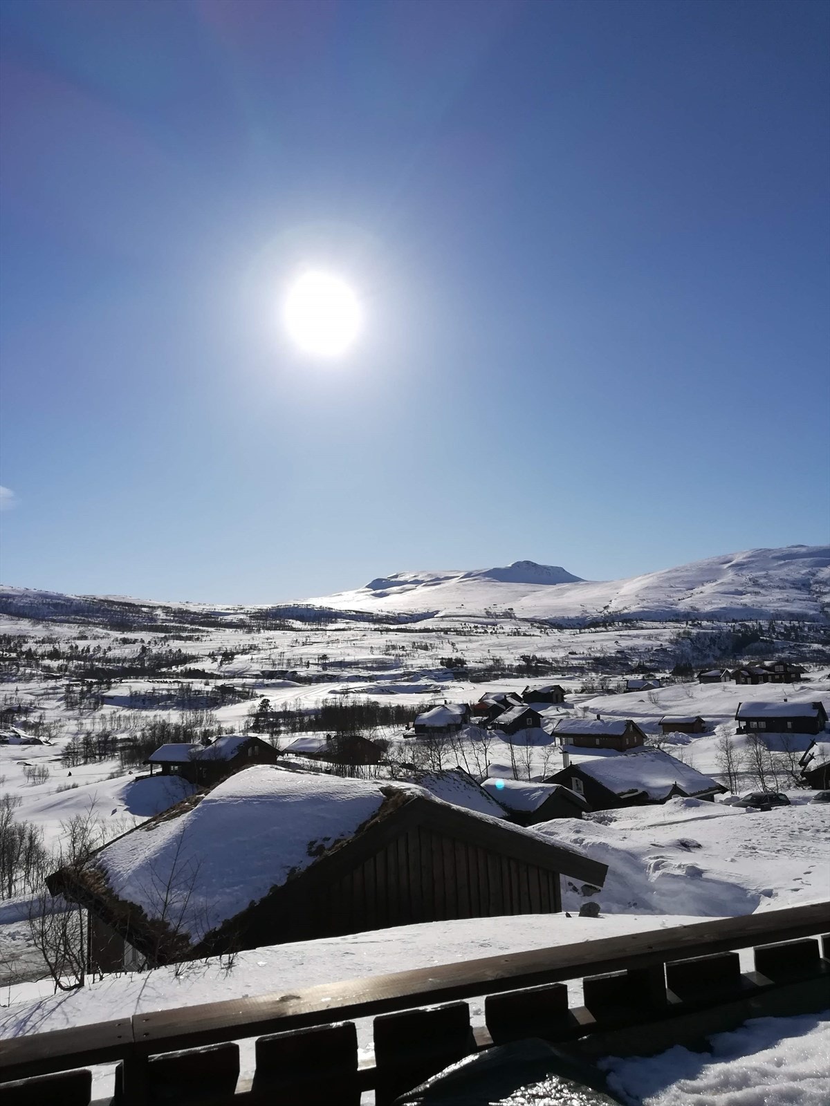 - Bilde fra selger - Galleribilde