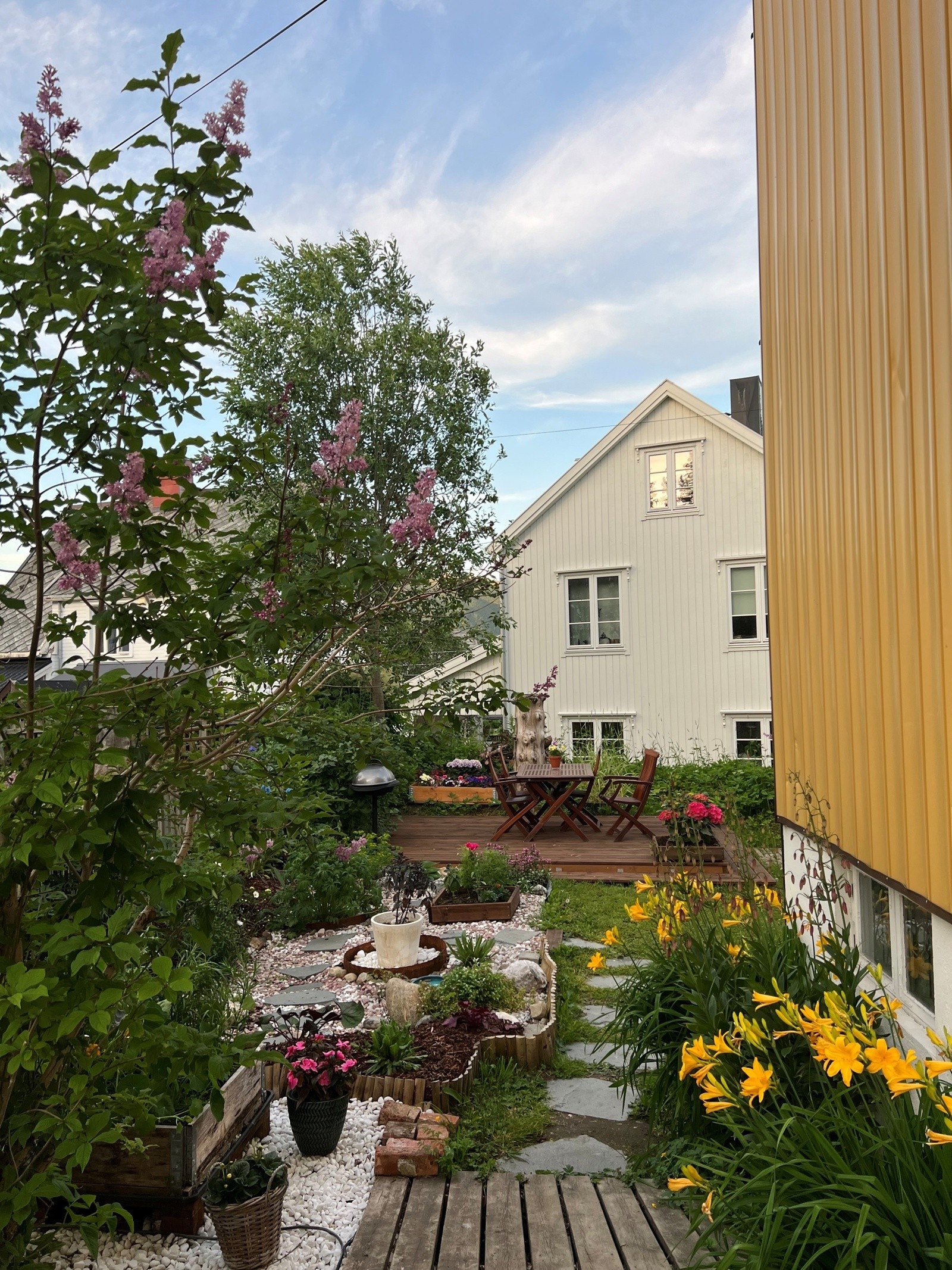 Nydelig bakhage Galleribilde