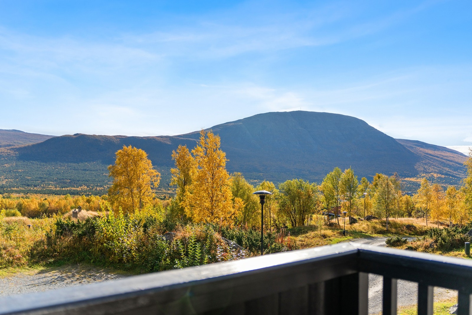 Utsikt fra verandaen mot Almannberget. Galleribilde