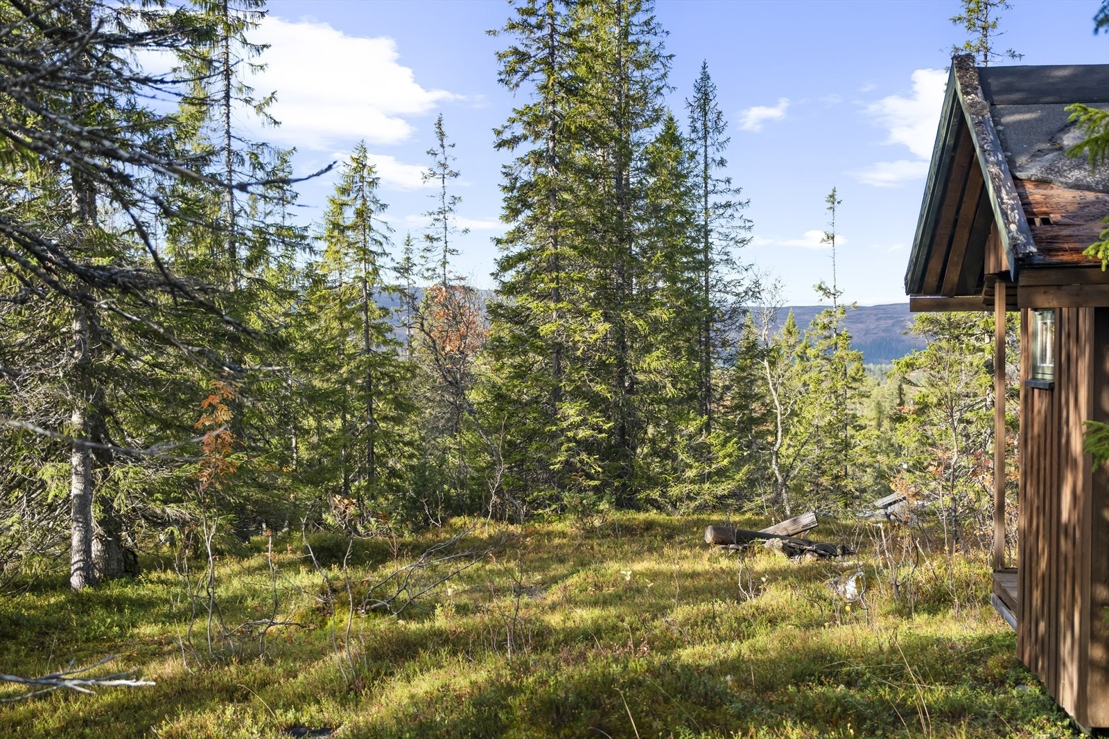 Tomta ligger på et høydedrag som gir et flott utsyn mot Åbofjellet og Skardfjellet. Galleribilde
