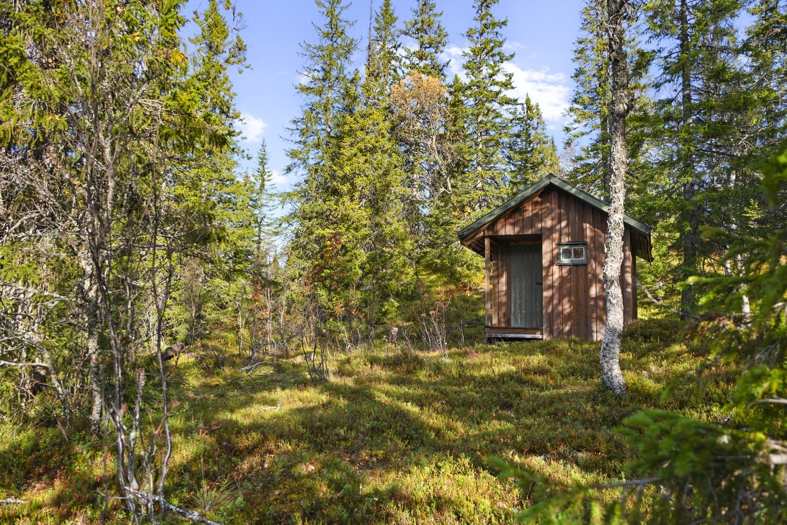 Det er en trafoboks som står like ved tomta, strømmen må selv føres videre inn til hytta. Galleribilde
