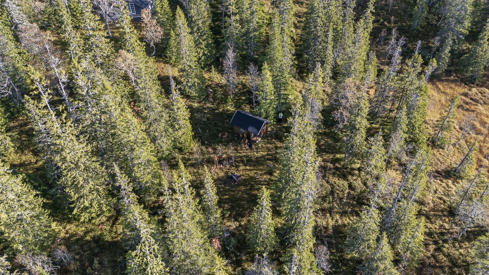 Ta kontakt for vinsing! Galleribilde