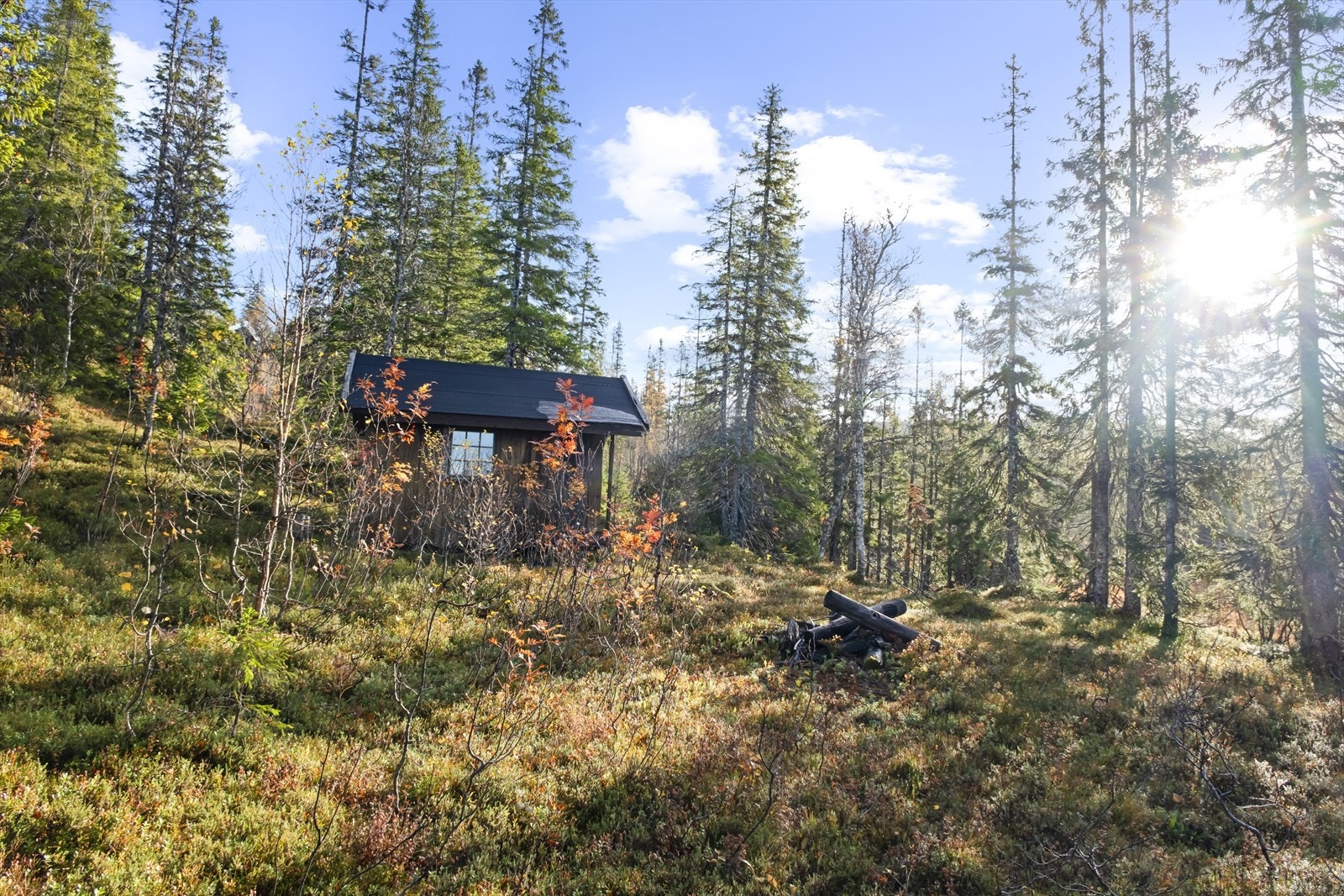 Det er oppført en utvendig bod til lagring på tomta. For oppføring av hytte må det søkes kommunen etter gitt reguleringsplan (konferer med megler). Galleribilde