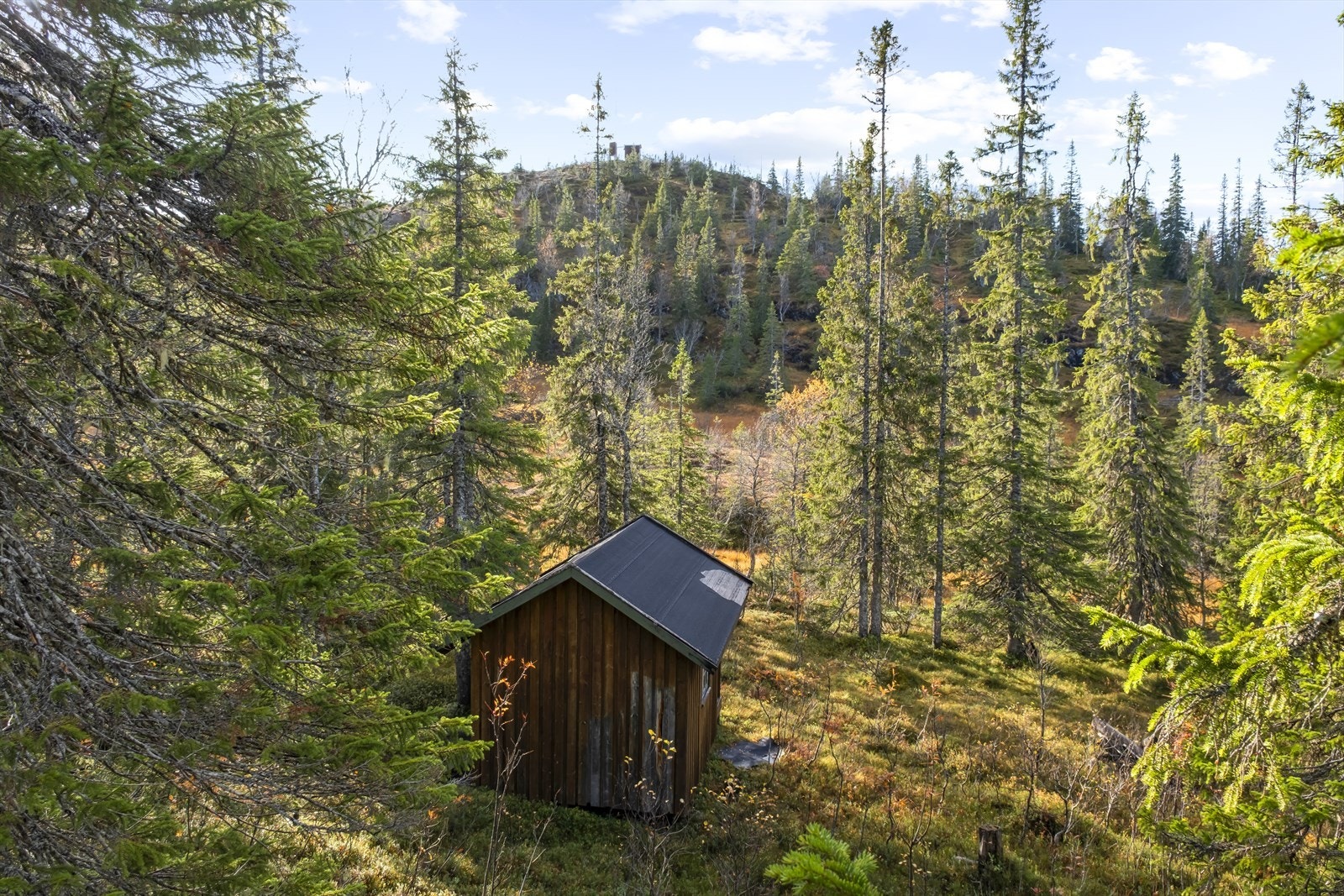 Det holder på å monteres ny stasjon for Telenor like ved feltet for å sikre god dekning. Masten kan skimtes på høydedraget i bakkant. Galleribilde