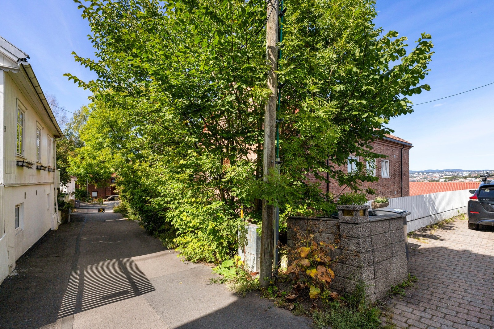 Grønt og frodig utenfor bygården. Galleribilde