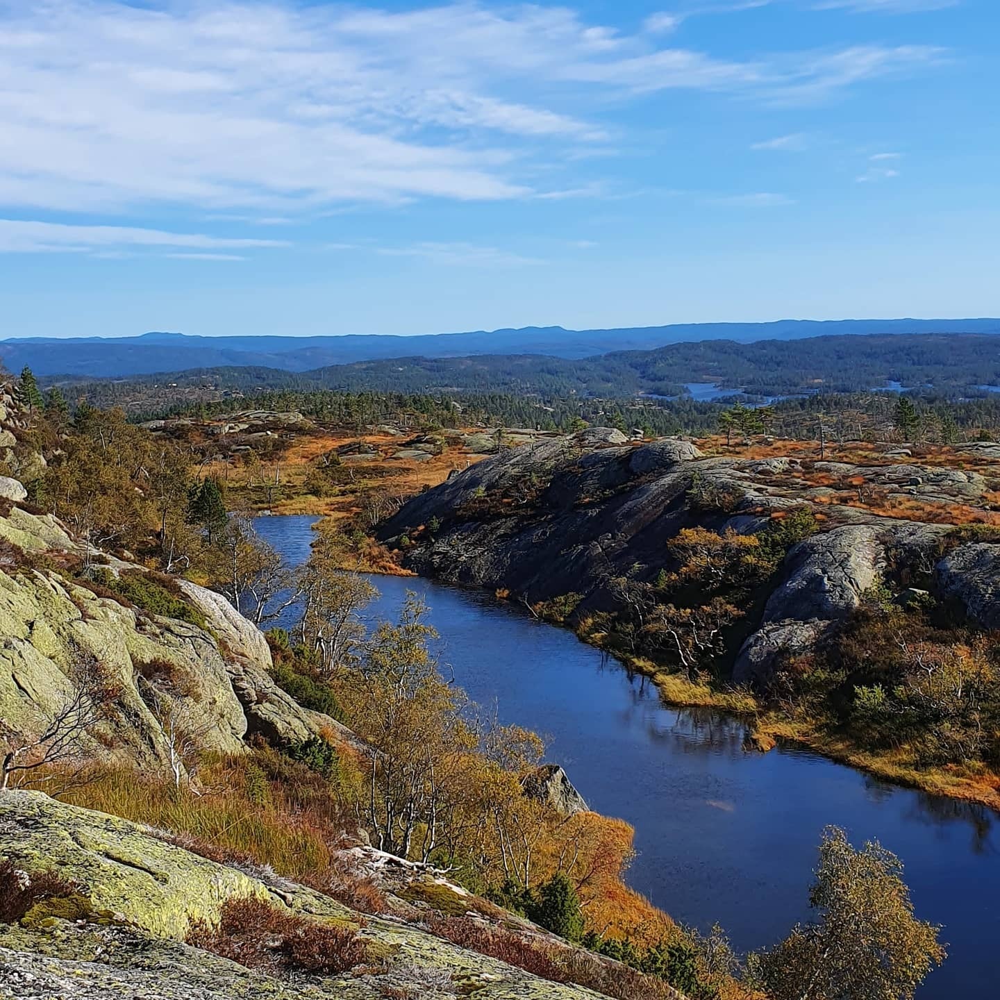 Privat bilde Galleribilde