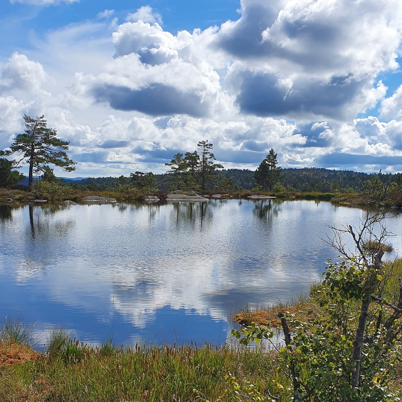 Privat bilde Galleribilde