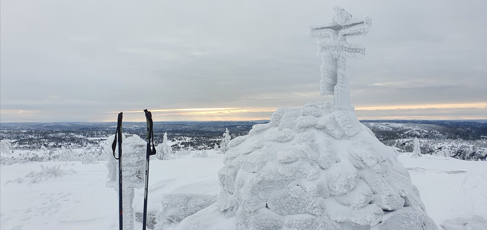 Nærområdet. Himmesyna i vinderdrakt! (Privat bilde) Galleribilde