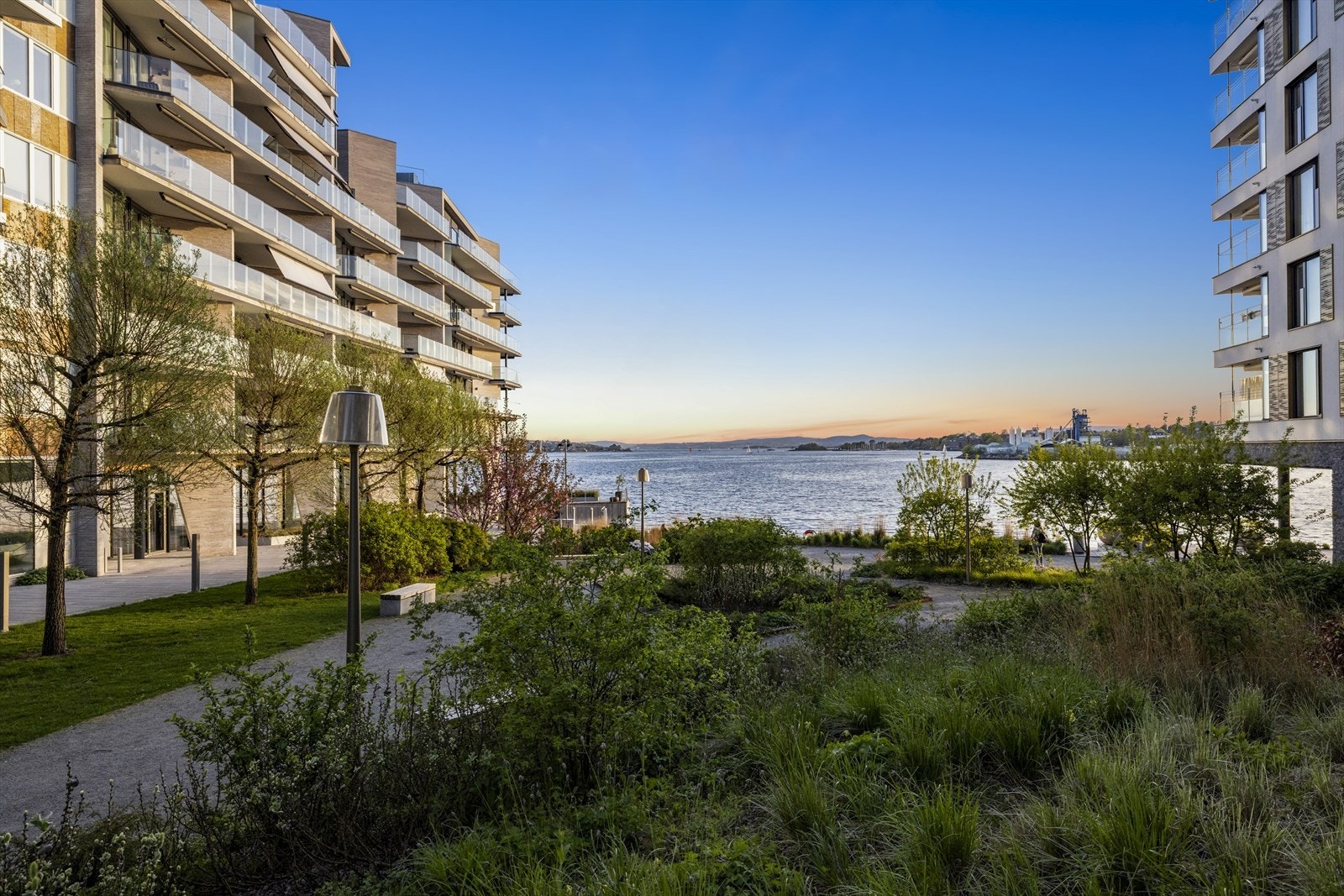 Flott beplantning mellom sameiene. Galleribilde