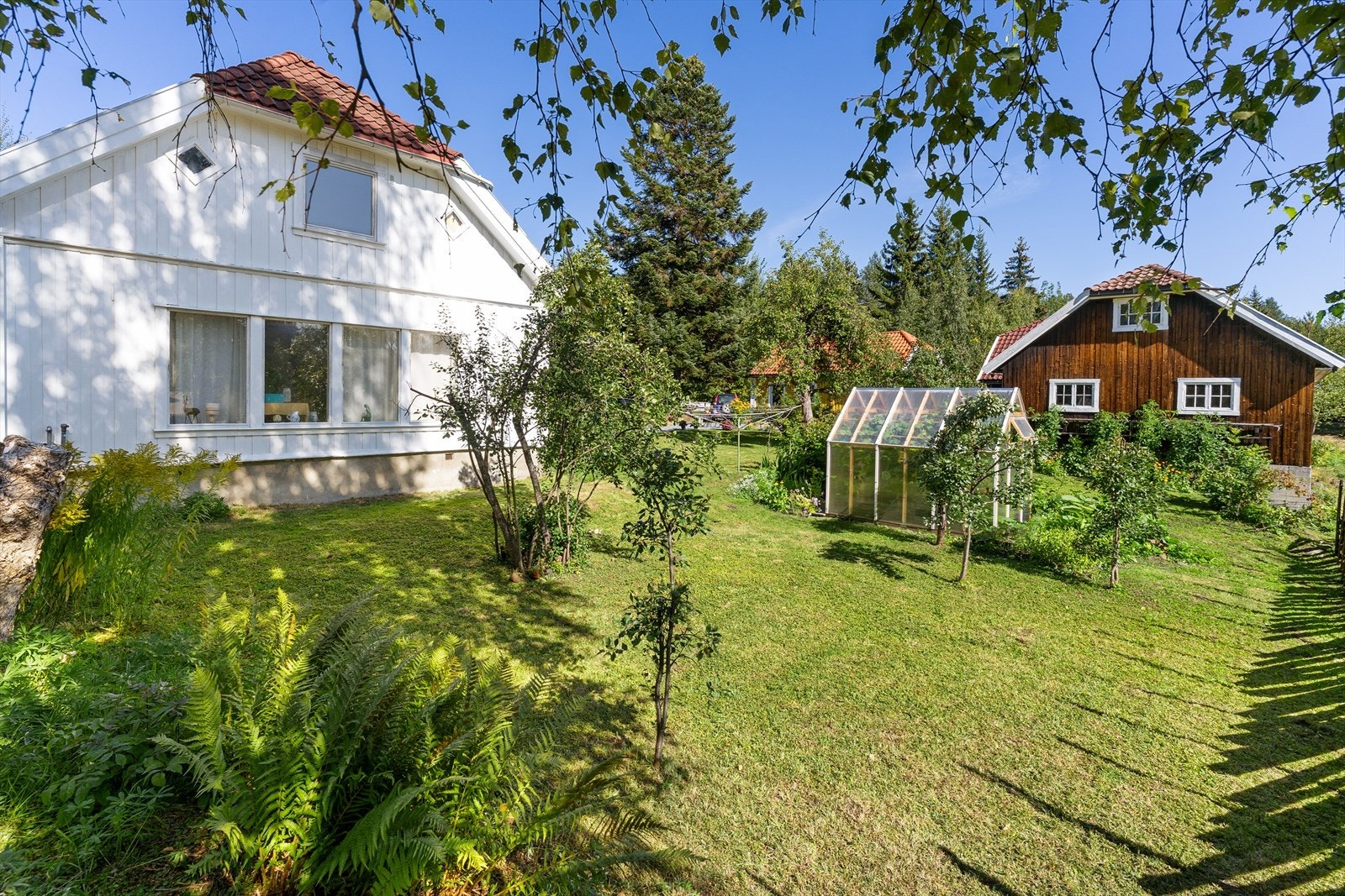 Hagen med det nye drivhuset fra 2025. Galleribilde