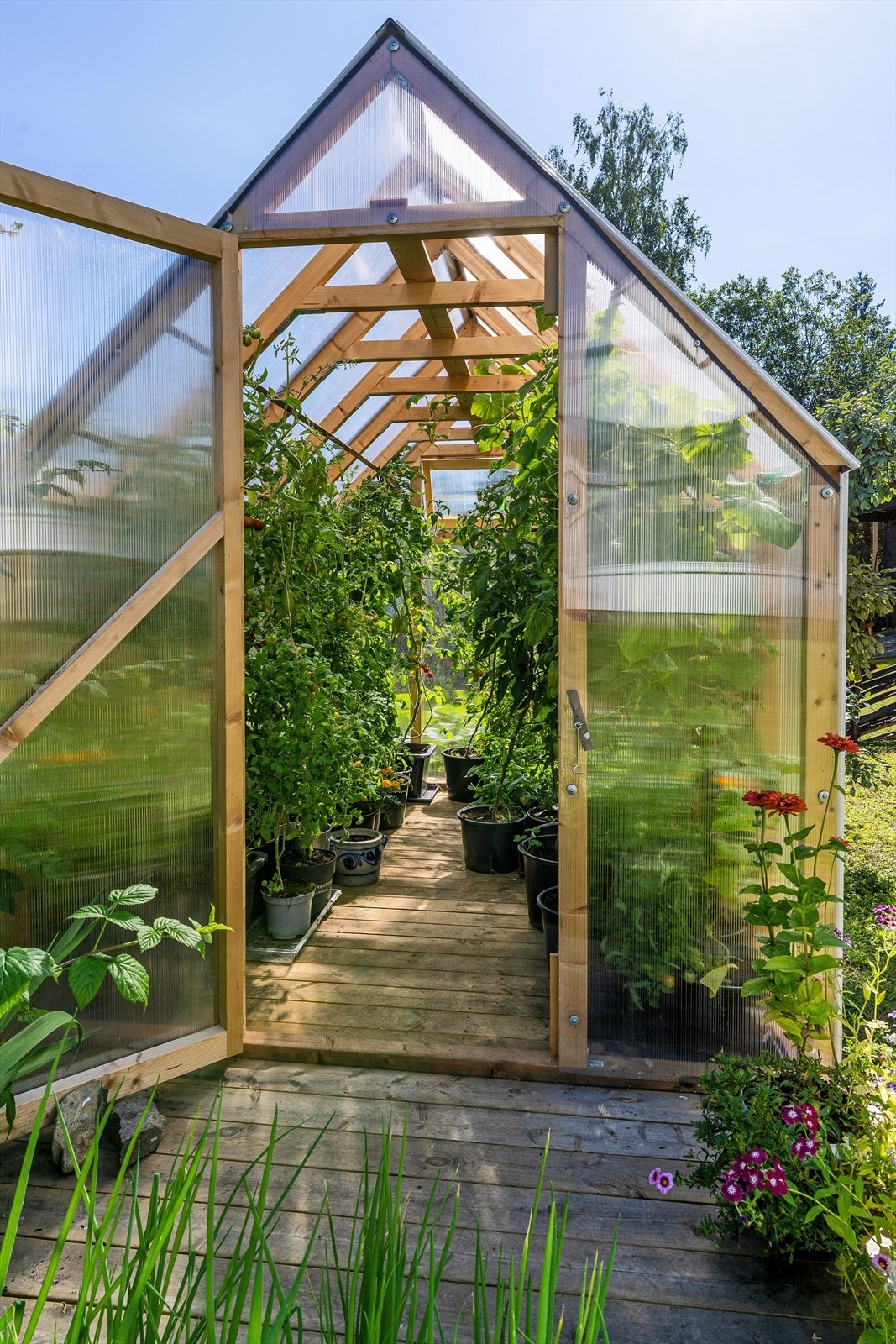 Det er også satt opp et helt nytt drivhus på tomta, nytt i 2025. Perfekt for de med ''grønne fingre'', enten man ønsker å drive grønnsakshage, med blomster eller annet. Galleribilde