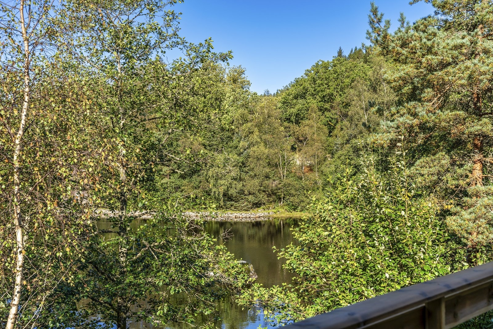 Uteområde er omringet av natur og terrassen har herlig utsikt Galleribilde